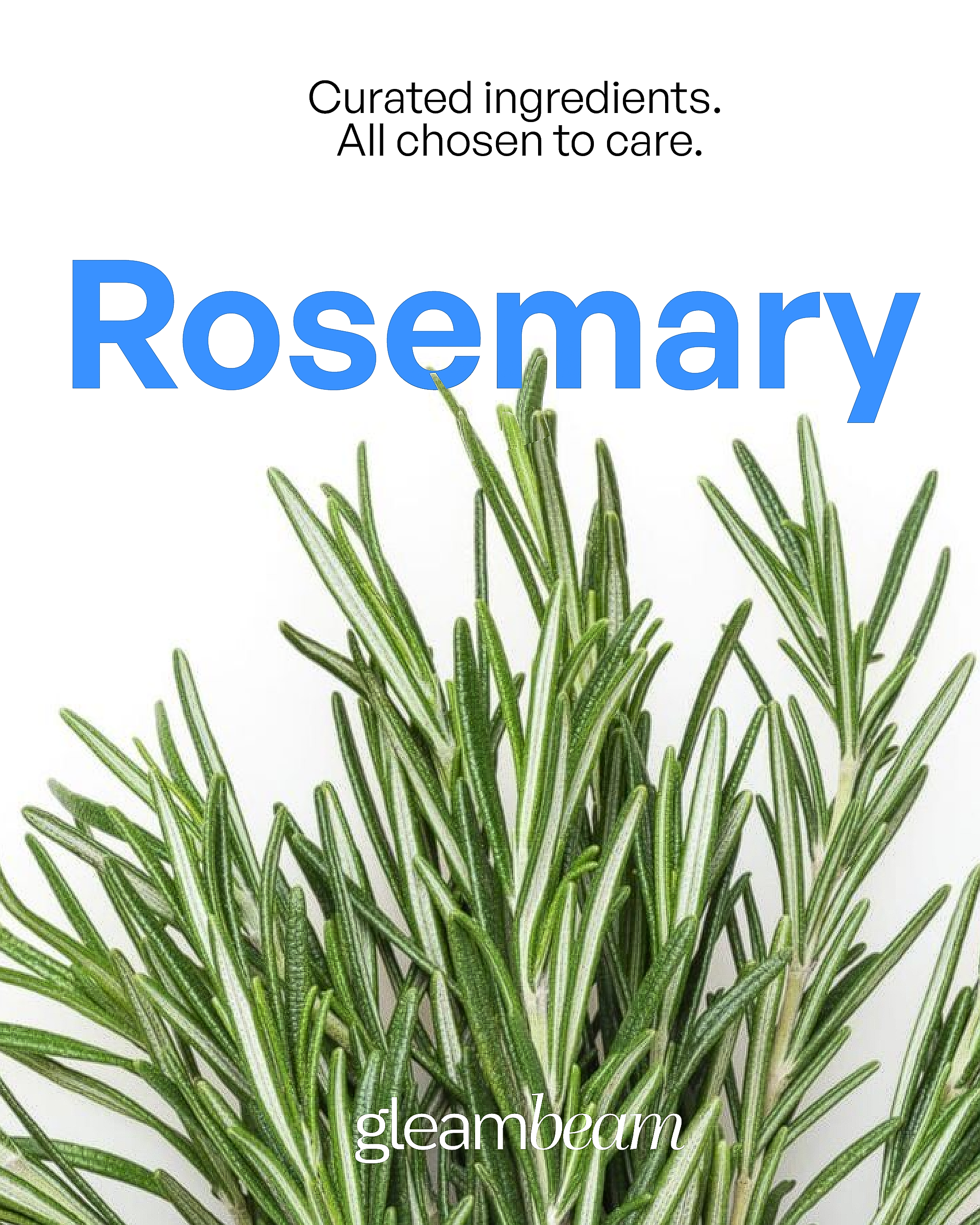 Rosmarinus Officinalis (Rosemary) Extract